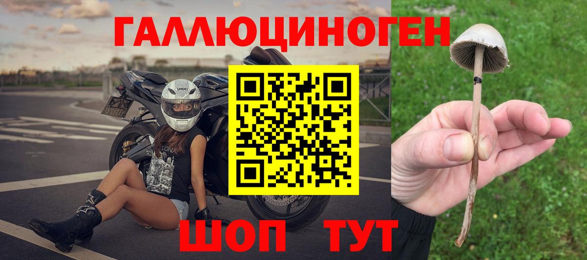 Псилоцибиновые грибы прущие грибы  Вход с VPN  Наро-Фоминск  Псилоцибиновые грибы GOLDEN TEACHER 